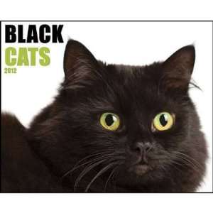  Black Cats 2012 Wall Calendar