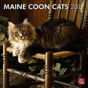  2012 Maine Coon Cats Calendar