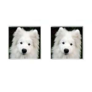  Samoyed Puppy Dog Square Cufflinks F0760: Everything Else