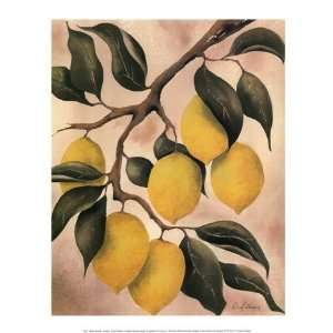     Lemons Poster by Doris Allison (11.75 x 15.75)