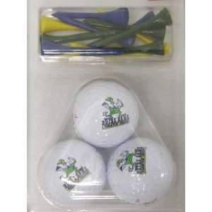  Notre Dame Irish Golf Balls & Tees Set *SALE*