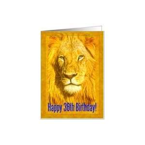   36th Birthday greeting card, Male lion portrait Card Toys & Games