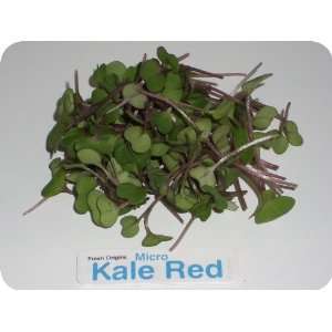 Micro Greens   Red Russian Kale   4 x 4 oz  Grocery 