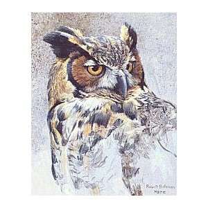  Robert Bateman   Great Horned Owl Study: Home & Kitchen