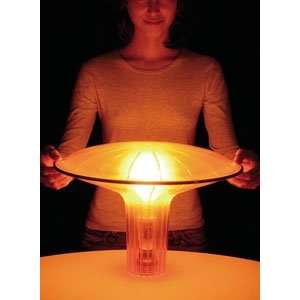 Luceplan Agaricon Table Lamp by Ross Lovegrove