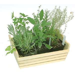   Tasteful Garden in a Crate Herbs   Live Plants Patio, Lawn & Garden