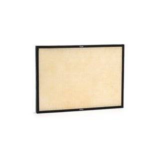 Rabbit Air BioGS replacement HEPA filter for models SPA 421A & SPA 