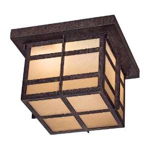 : Minka Lavery Outdoor 71199 357 PL, Delancy Outdoor Ceiling Lighting 