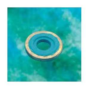  Viton/Brass Washer Seal   10/case