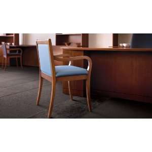  Steelcase Topaz Multi Use Guest Chair: Office Products
