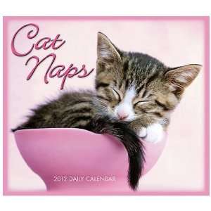  Cat Naps 2012 Boxed Calendar
