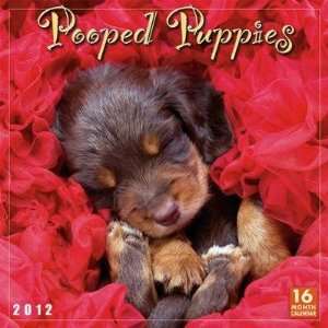  Pooped Puppies 2012 Wall Calendar 12 x 12 Office 