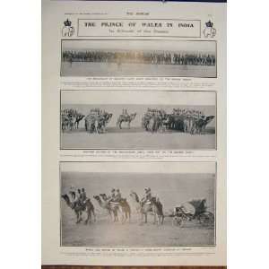   Wales India Bikanir Desert Maharajah Camels 1905
