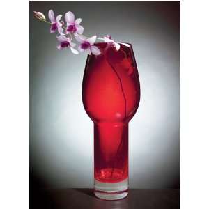  Spicy Red Glass Vase: Home & Kitchen