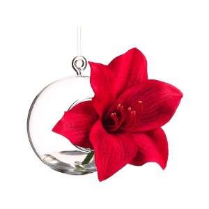  4.5 Amaryllis in Glass Vase Ornament Red (Pack of 6): Home 