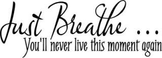 Vinyl Wall Decals Art Lettering Just Breathe Moment  