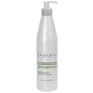  Keratin Reload Ceramides and Collagen Shampoo, for Normal To Dry Hair