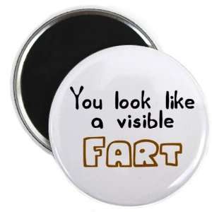  You Look Like a VISIBLE FART Funny 2.25 inch Fridge Magnet 