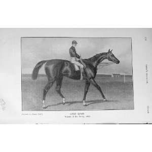   Antique Portrait Lord Lyon Winner Derby Horse Race
