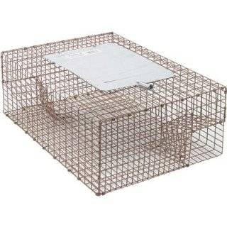 Kness Kage All Live Animal Cage Trap   Sparrow Trap, Model# 161 0 004