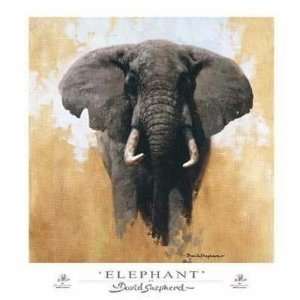  Elephant   David Shepherd 27x29