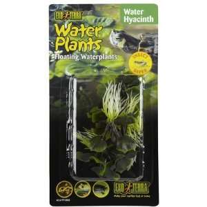 Exo Terra Water Plant   Hyacinth (Quantity of 4)