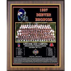  Healy Denver Broncos Super Bowl Xxxii Champions 13X16 Team 