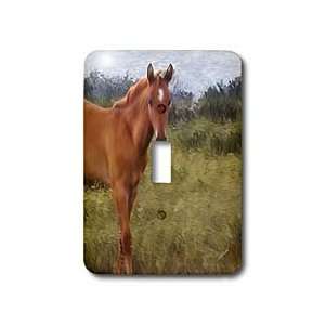 Doreen Erhardt Horses   Stallion   Light Switch Covers   single toggle 