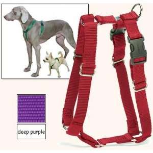  Sure Fit Dog Harness, 5 Way Adjustability for a Perfect 