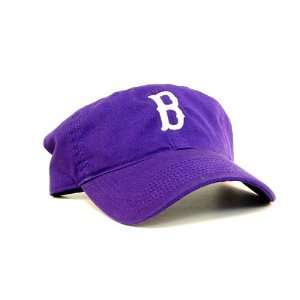  Boston Red Sox Hat (Blue): Everything Else