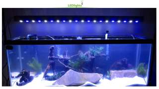 Aqua Pro 60W (20x3W) CREE LED Aquarium Reef Tank Light White/Blue 