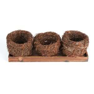   Fine Twig Bird Nest on Natural Wood Tray: Arts, Crafts & Sewing