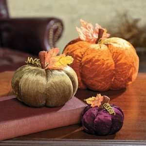  Plush Pumpkins   Party Decorations & Room Decor Health 