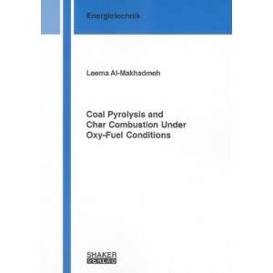 Coal Pyrolysis and Char Combustion Under Oxy fuel Conditions (Berichte 