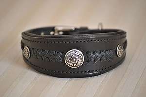   collar w/lace and chrome concho   Whippet, Italian Greyhound  
