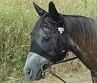cashel draft standard with ears quiet ride fly mask horse
