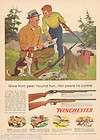 1950s vintage winchester model 61 77 22 rifle target shooting