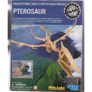  Kidz Lab Pterasaur Dino Dig Excavation Kit Everything 
