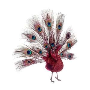  16 Glitter Open Tail Peacock (Knockdown Packing) Red (Pack 