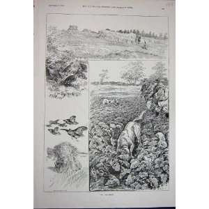   : 1891 Partridge Hunting Shooting Birds Sport Country: Home & Kitchen