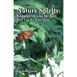  Nature Spirits Endangered Like the Bees How Can We Help 
