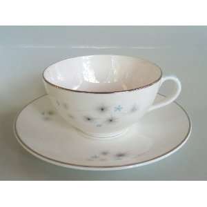 Royal Doulton China THISTLEDOWN Tea Cup & Saucer Set:  