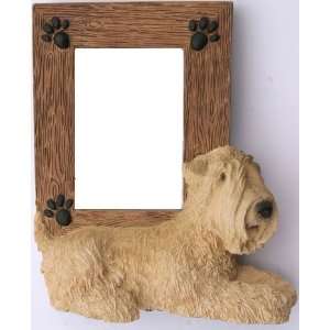  SOFT COATED WHEATEN TERRIER DOG Puppy NEW Photo Picture 