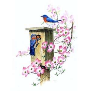  Bluebirds Nest Cross Stitch Chart Arts, Crafts & Sewing