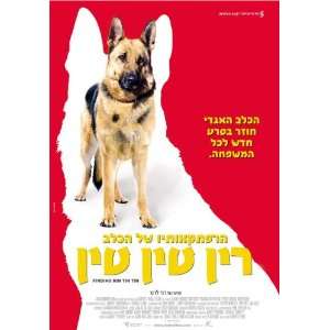  Finding Rin Tin Tin Poster Movie Isreal (11 x 17 Inches 