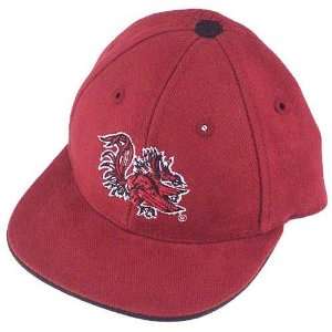 South Carolina Gamecocks Garnet Infant Hat:  Sports 
