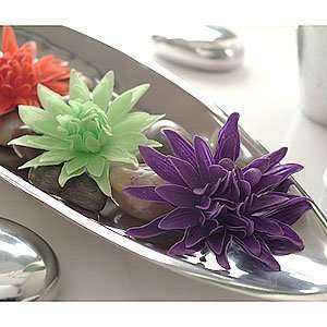  Three Large Cosmo Soaps, Purple, Green and Red: Health 