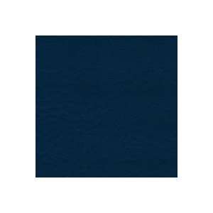   Delta Blue 54 Wide Marine Vinyl Fabric By The Yard: Everything Else