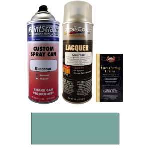   Spray Can Paint Kit for 1965 Chevrolet Truck (510 (1965)) Automotive