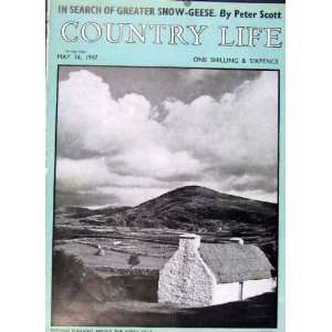  Sunlight Along Kerry Hills Ireland + House Sales 1947 